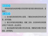 新教材适用2023_2024学年高中生物第5章基因突变及其他变异第2节染色体变异课件新人教版必修2