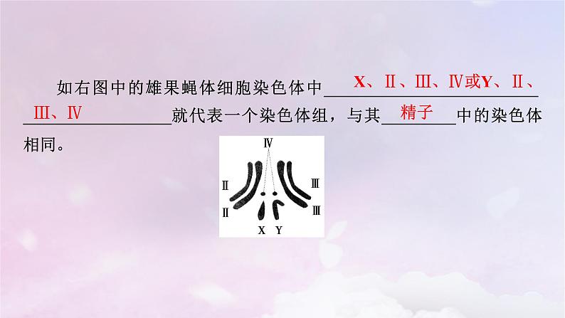 新教材适用2023_2024学年高中生物第5章基因突变及其他变异第2节染色体变异课件新人教版必修2第6页