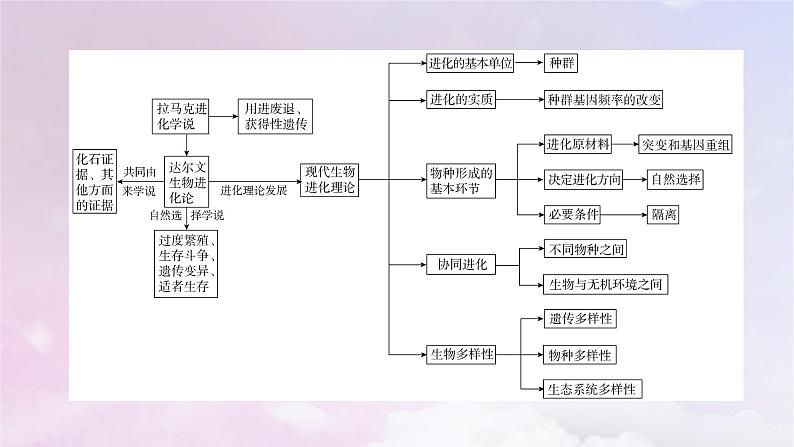 新教材适用2023_2024学年高中生物第6章生物的进化章末总结课件新人教版必修204