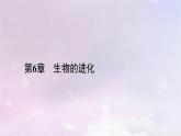 新教材适用2023_2024学年高中生物第6章生物的进化第2节自然选择与适应的形成课件新人教版必修2
