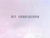 新教材适用2023_2024学年高中生物第6章生物的进化第2节自然选择与适应的形成课件新人教版必修2