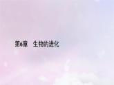 新教材适用2023_2024学年高中生物第6章生物的进化第3节种群基因组成的变化与物种的形成第1课时种群基因组成的变化课件新人教版必修2