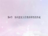 新教材适用2023_2024学年高中生物第6章生物的进化第4节协同进化与生物多样性的形成课件新人教版必修2