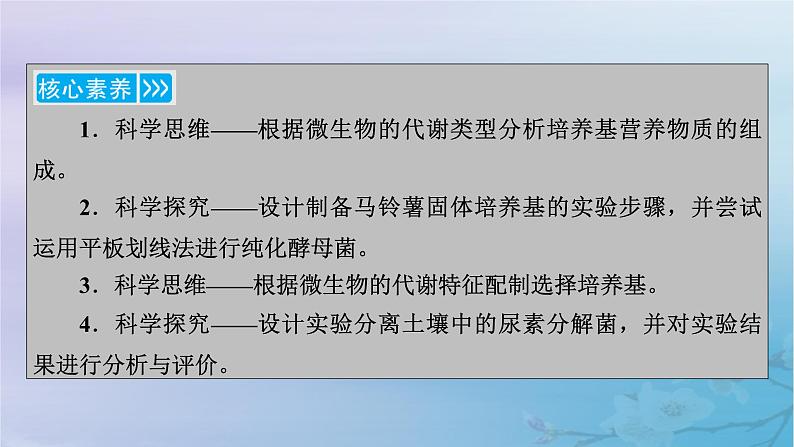 新教材适用2023_2024学年高中生物第1章发酵工程第2节微生物的培养技术及应用第1课时微生物的基本培养技术课件新人教版选择性必修3第4页