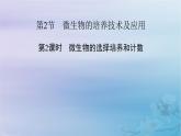 新教材适用2023_2024学年高中生物第1章发酵工程第2节微生物的培养技术及应用第2课时微生物的选择培养和计数课件新人教版选择性必修3