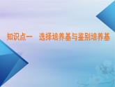 新教材适用2023_2024学年高中生物第1章发酵工程第2节微生物的培养技术及应用第2课时微生物的选择培养和计数课件新人教版选择性必修3