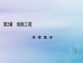 新教材适用2023_2024学年高中生物第2章细胞工程本章整合课件新人教版选择性必修3