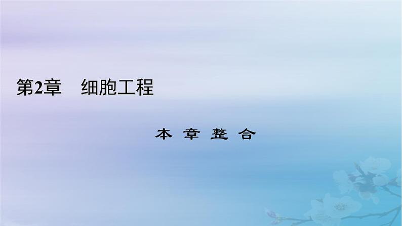 新教材适用2023_2024学年高中生物第2章细胞工程本章整合课件新人教版选择性必修301