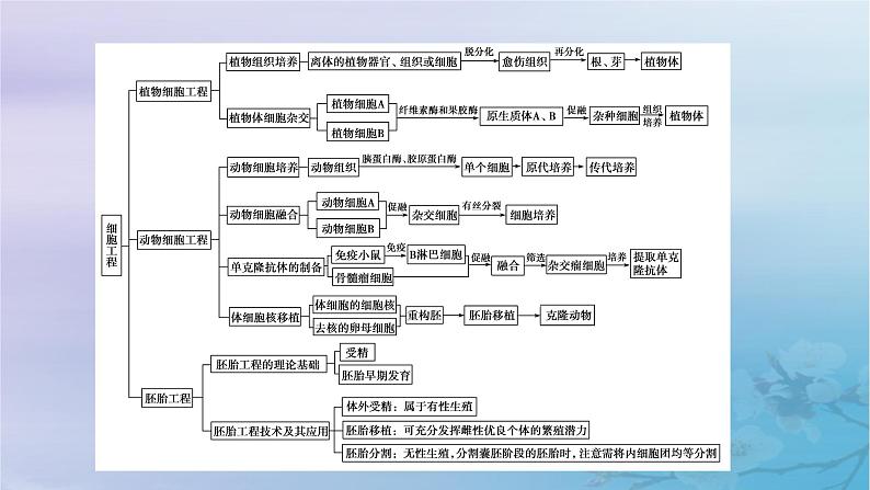 新教材适用2023_2024学年高中生物第2章细胞工程本章整合课件新人教版选择性必修304