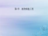新教材适用2023_2024学年高中生物第2章细胞工程第1节植物细胞工程第1课时植物细胞工程的基本技术课件新人教版选择性必修3