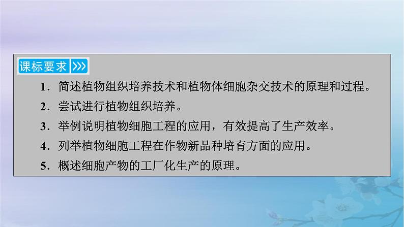 新教材适用2023_2024学年高中生物第2章细胞工程第1节植物细胞工程第1课时植物细胞工程的基本技术课件新人教版选择性必修303