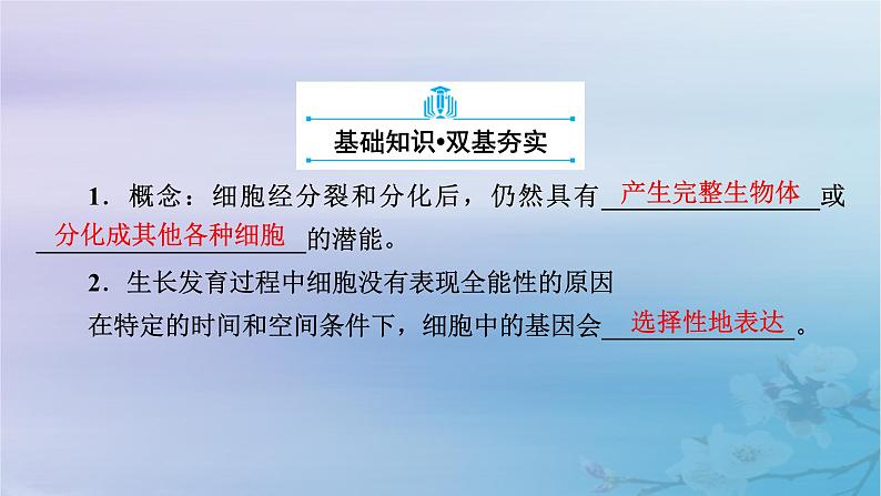 新教材适用2023_2024学年高中生物第2章细胞工程第1节植物细胞工程第1课时植物细胞工程的基本技术课件新人教版选择性必修308