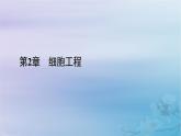 新教材适用2023_2024学年高中生物第2章细胞工程第1节植物细胞工程第2课时植物细胞工程的应用和细胞产物的工厂化生产课件新人教版选择性必修3