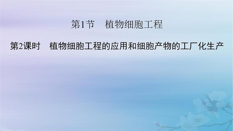 新教材适用2023_2024学年高中生物第2章细胞工程第1节植物细胞工程第2课时植物细胞工程的应用和细胞产物的工厂化生产课件新人教版选择性必修3第2页