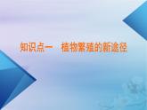 新教材适用2023_2024学年高中生物第2章细胞工程第1节植物细胞工程第2课时植物细胞工程的应用和细胞产物的工厂化生产课件新人教版选择性必修3