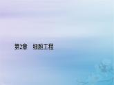 新教材适用2023_2024学年高中生物第2章细胞工程第2节动物细胞工程第1课时动物细胞培养课件新人教版选择性必修3
