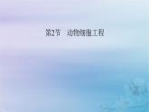 新教材适用2023_2024学年高中生物第2章细胞工程第2节动物细胞工程第1课时动物细胞培养课件新人教版选择性必修3