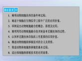 新教材适用2023_2024学年高中生物第2章细胞工程第2节动物细胞工程第1课时动物细胞培养课件新人教版选择性必修3