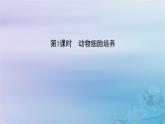 新教材适用2023_2024学年高中生物第2章细胞工程第2节动物细胞工程第1课时动物细胞培养课件新人教版选择性必修3