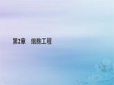 新教材适用2023_2024学年高中生物第2章细胞工程第3节胚胎工程第1课时胚胎工程的理论基础课件新人教版选择性必修3
