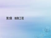 新教材适用2023_2024学年高中生物第2章细胞工程第3节胚胎工程第2课时胚胎工程技术及其应用课件新人教版选择性必修3