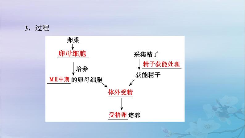 新教材适用2023_2024学年高中生物第2章细胞工程第3节胚胎工程第2课时胚胎工程技术及其应用课件新人教版选择性必修3第6页