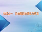 新教材适用2023_2024学年高中生物第3章基因工程第2节基因工程的基本操作程序课件新人教版选择性必修3