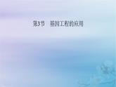 新教材适用2023_2024学年高中生物第3章基因工程第3节基因工程的应用课件新人教版选择性必修3