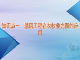 新教材适用2023_2024学年高中生物第3章基因工程第3节基因工程的应用课件新人教版选择性必修3