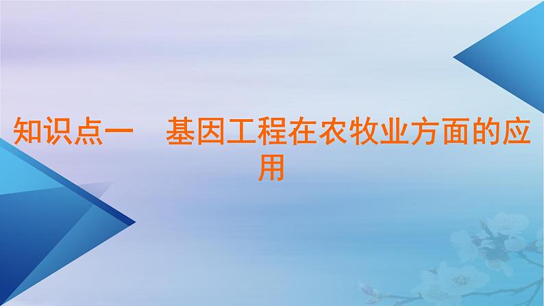 新教材适用2023_2024学年高中生物第3章基因工程第3节基因工程的应用课件新人教版选择性必修3第5页