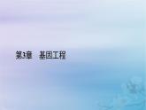 新教材适用2023_2024学年高中生物第3章基因工程第4节蛋白质工程的原理和应用课件新人教版选择性必修3