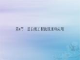 新教材适用2023_2024学年高中生物第3章基因工程第4节蛋白质工程的原理和应用课件新人教版选择性必修3