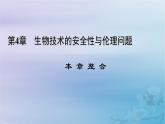 新教材适用2023_2024学年高中生物第4章生物技术的安全性与伦理问题本章整合课件新人教版选择性必修3