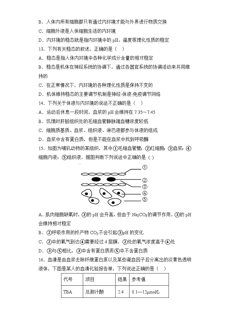 第1章人体内环境与稳态 单元练习 2023—2024学年高二上学期生物人教版选择性必修103