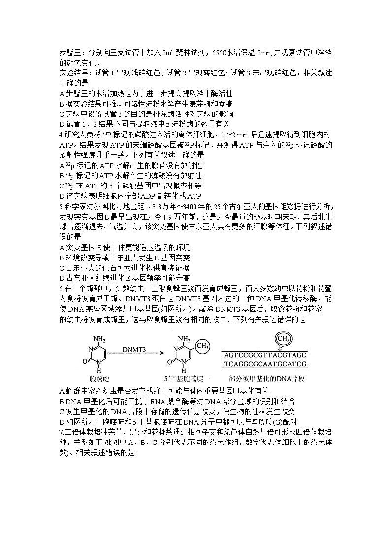 2024贵阳普通高中高三上学期11月质量监测试题生物含答案第2页