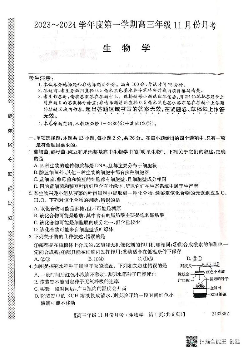 2024沧州三县联考高三上学期11月月考试题生物PDF版含答案第1页