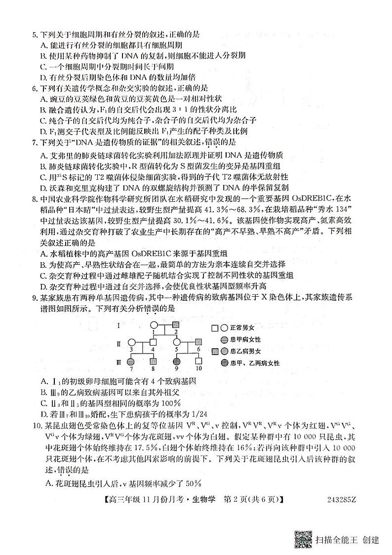 2024沧州三县联考高三上学期11月月考试题生物PDF版含答案第2页