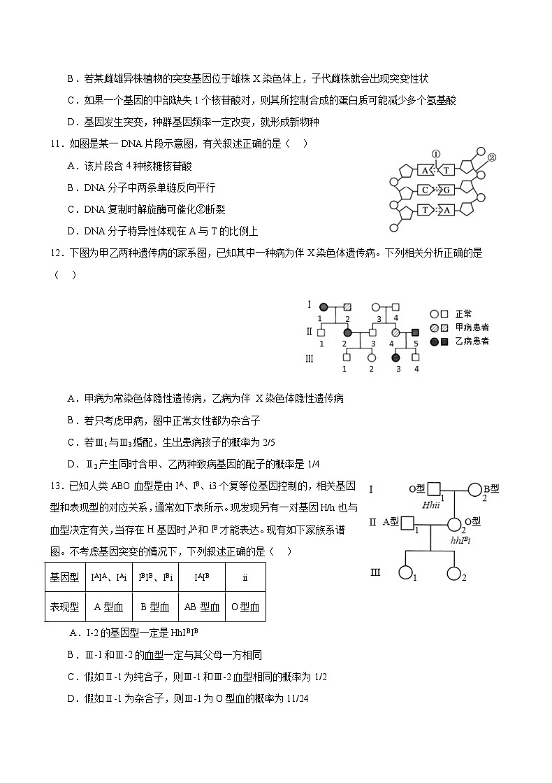2024重庆市缙云教育联盟高三上学期11月月考试题生物含答案03