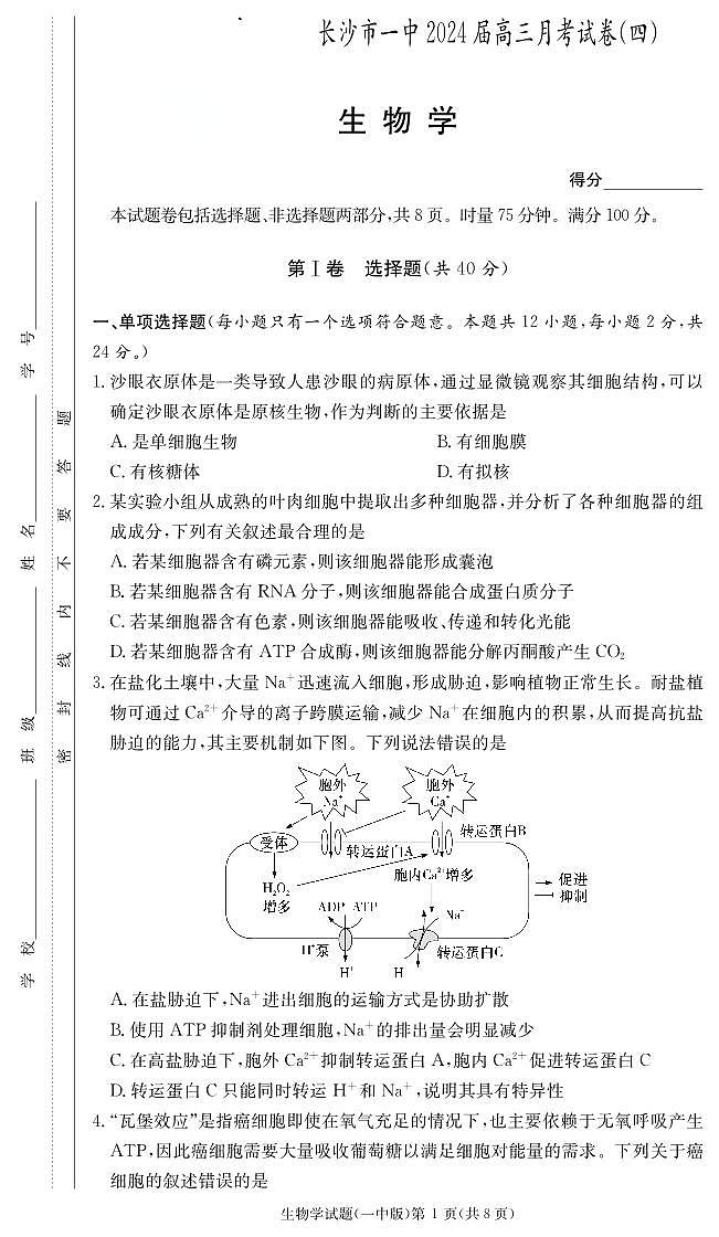 2024长沙一中高三上学期月考（四）生物试卷PDF版含答案01