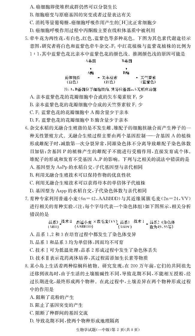 2024长沙一中高三上学期月考（四）生物试卷PDF版含答案02