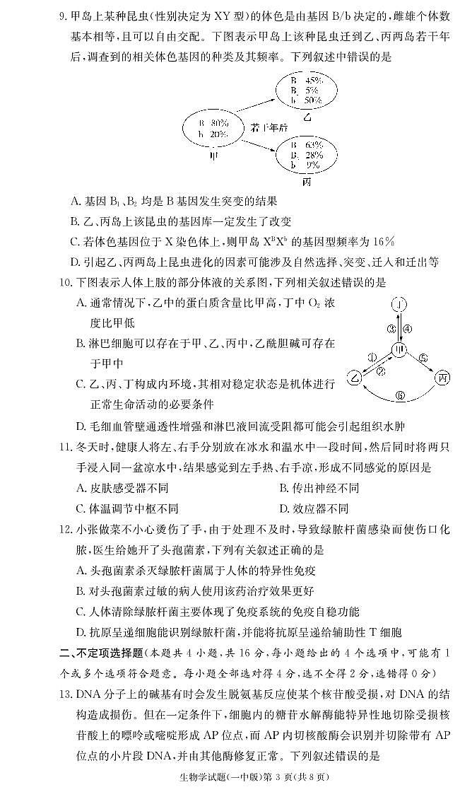 2024长沙一中高三上学期月考（四）生物试卷PDF版含答案03