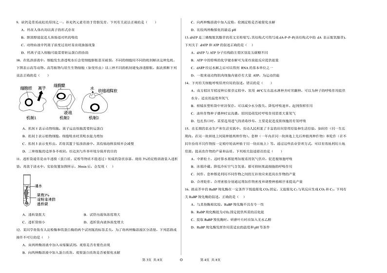 2024新疆霍尔果斯市苏港中学高三上学期11月月考生物试题PDF版无答案第2页