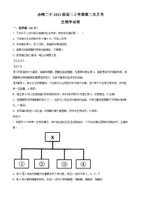 2024赤峰二中高三上学期10月月考生物试题含解析