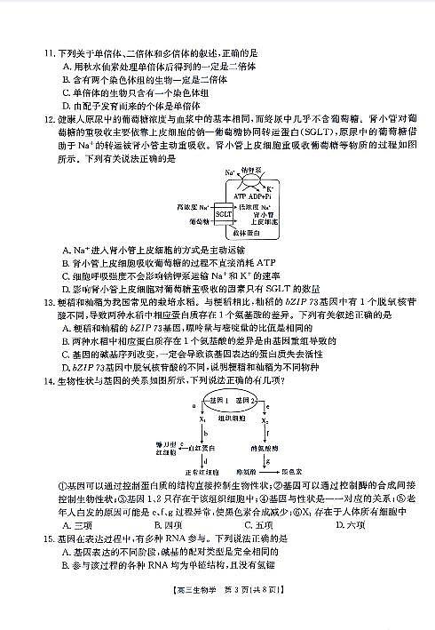 2024山西省高三上学期11月联合考试模拟预测生物PDF版含答案03