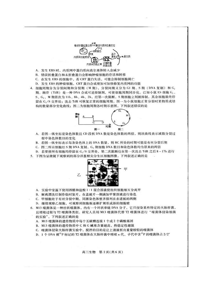 2024贵州省名校协作体高三上学期联考（一）生物PDF版含答案 试卷02
