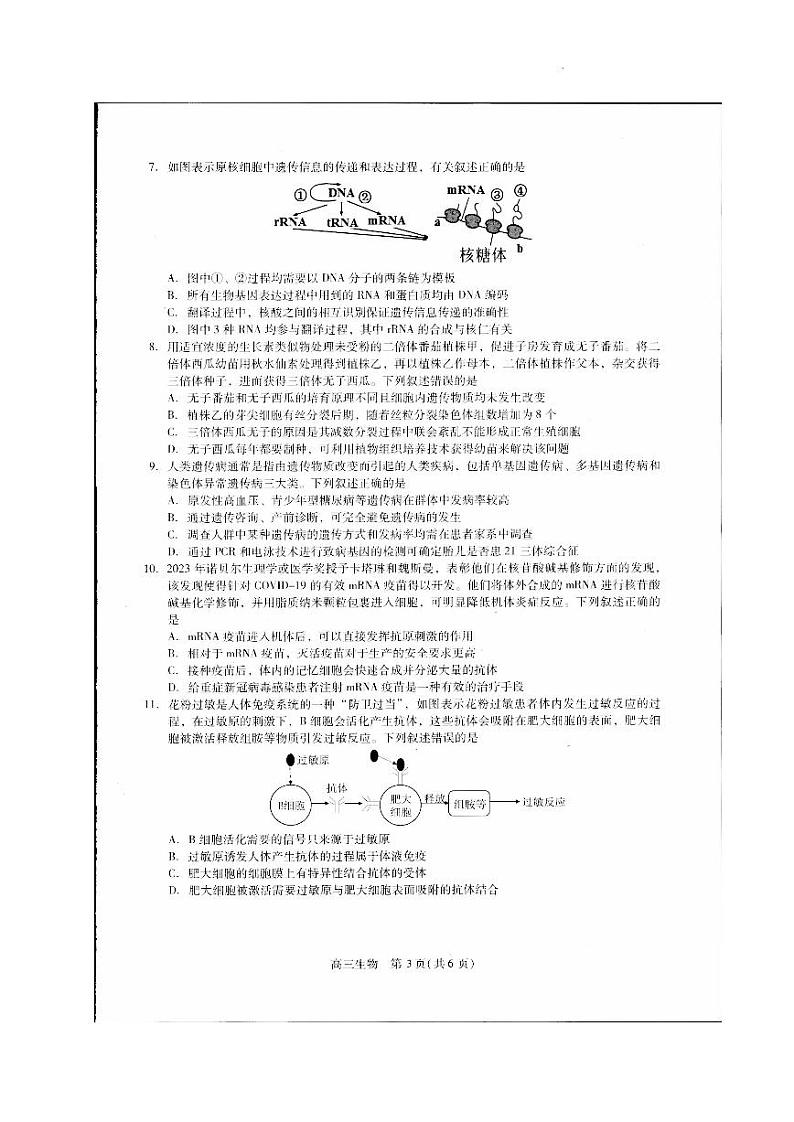 2024贵州省名校协作体高三上学期联考（一）生物PDF版含答案 试卷03