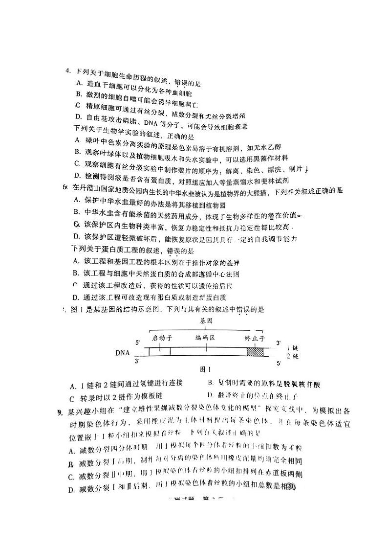 2024韶关高三上学期综合测试（一）生物PDF版含答案02