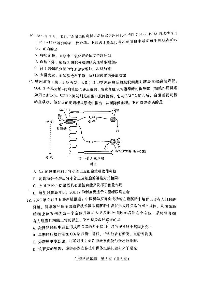 2024韶关高三上学期综合测试（一）生物PDF版含答案03