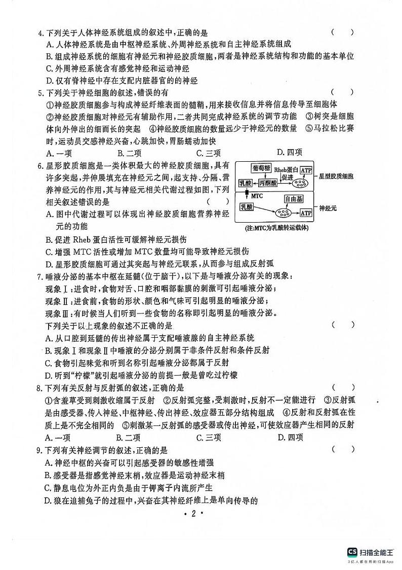 2024安徽师大附中高二上学期期中考试生物PDF版含答案02
