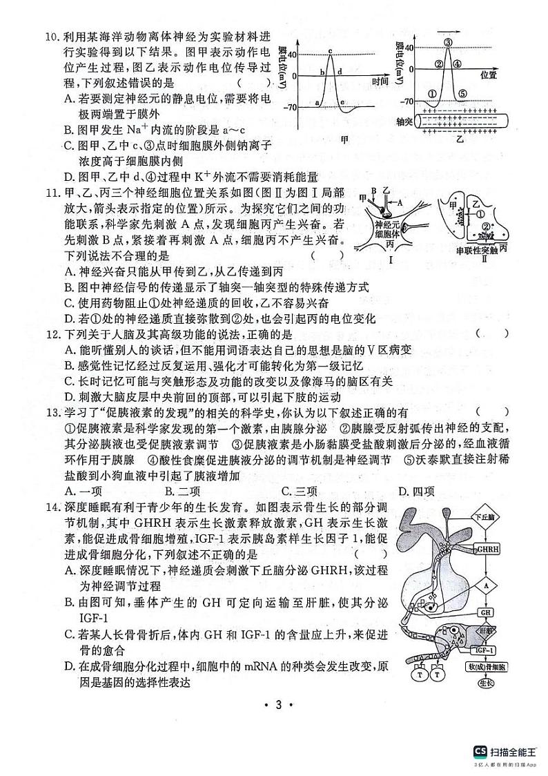 2024安徽师大附中高二上学期期中考试生物PDF版含答案03